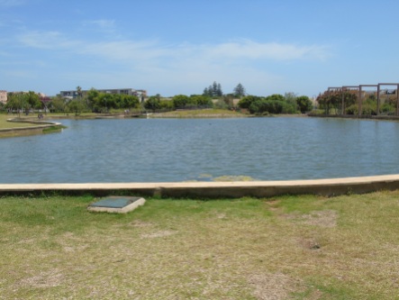 Laguna central del parque
